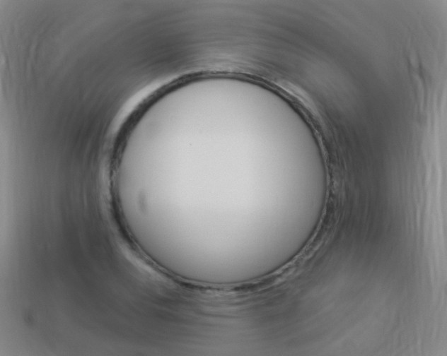 X0000114161120200910081128