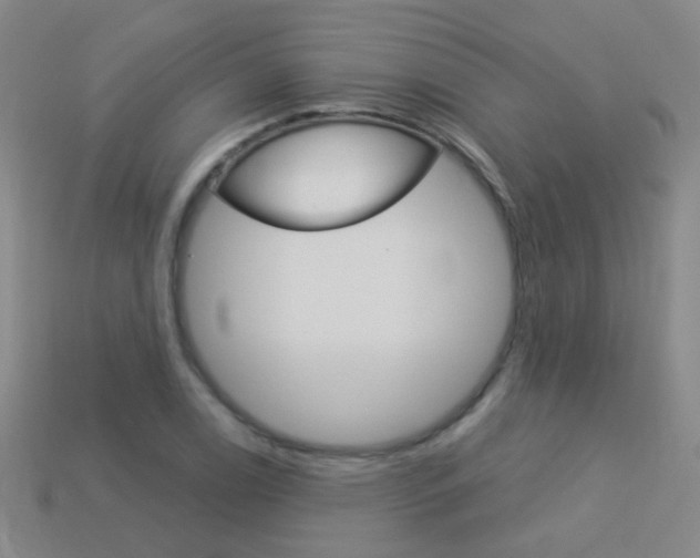 X0000114161122200910081128