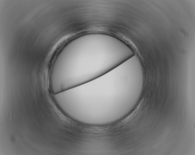 X0000114161123200910081128