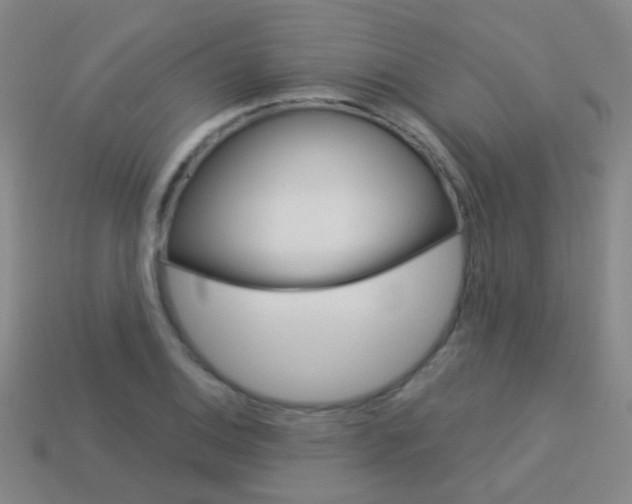 X0000114161124200910081128