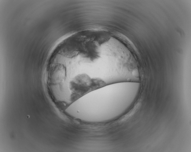 X0000114161125200910081128