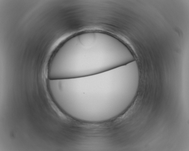 X0000114161127200910081128