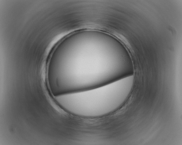 X0000114161128200910081128
