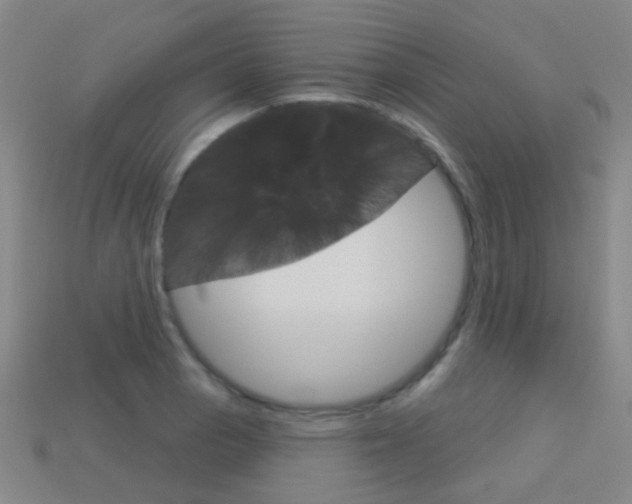 X0000114161129200910081128