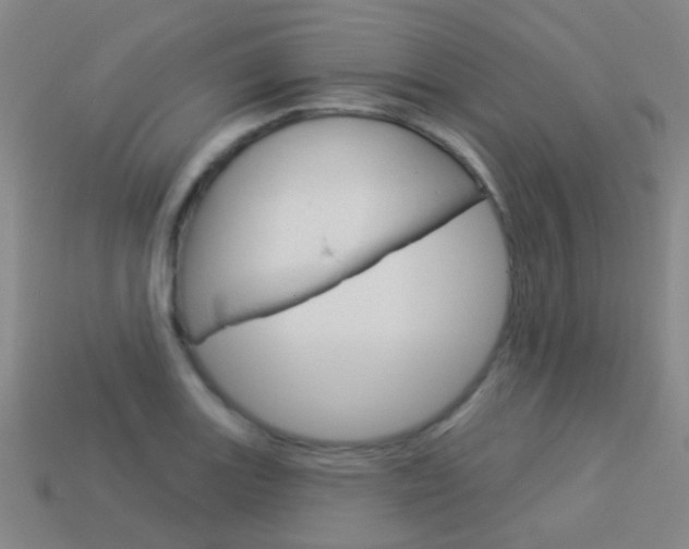 X0000114161131200910081128