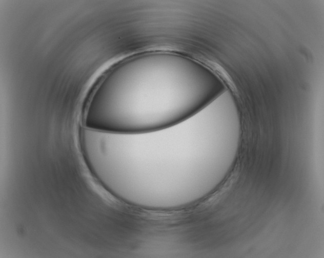 X0000114161132200910081128