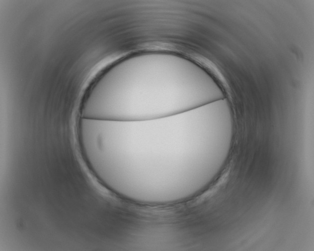X0000114161133200910081128