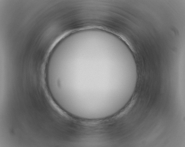 X0000114161134200910081128