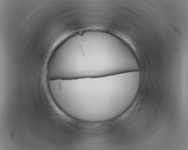 X0000114161135200910081128