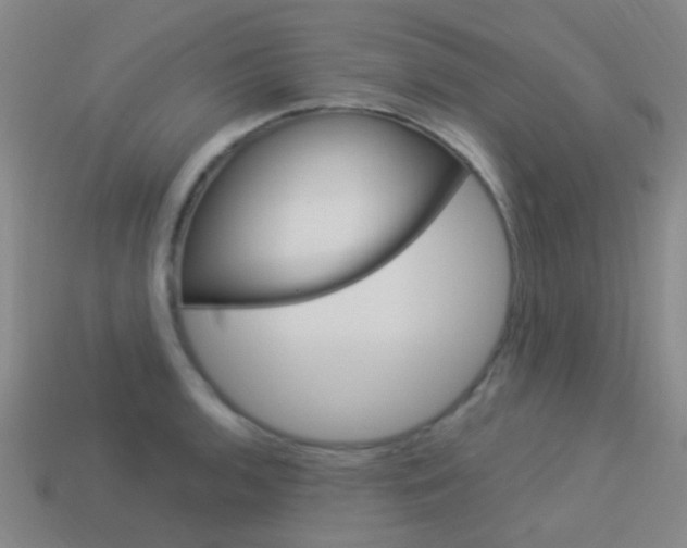 X0000114161136200910081128