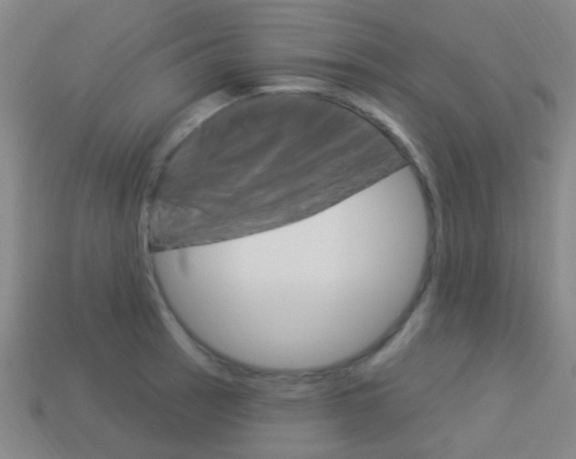 X0000114161137200910081128