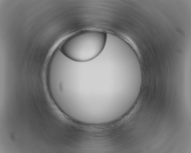 X0000114161138200910081128