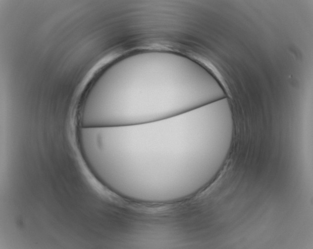 X0000114161139200910081128