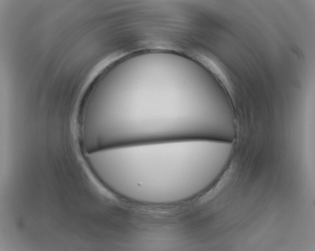 X0000114161141200910081128
