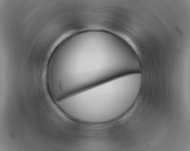 X0000114161142200910081128