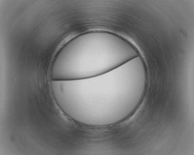 X0000114161145200910081128