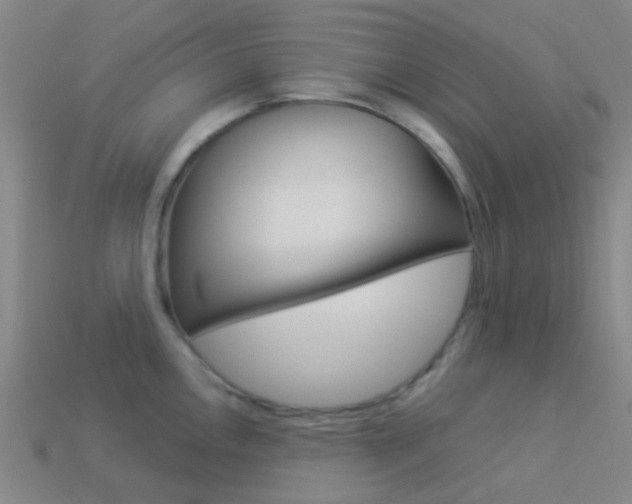 X0000114161146200910081128