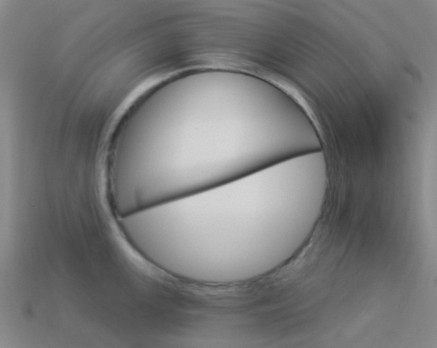 X0000114161147200910081128