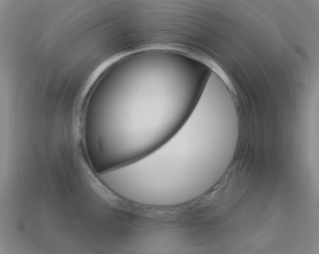 X0000114161148200910081128