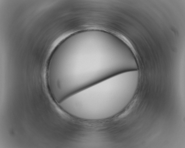 X0000114161149200910081128
