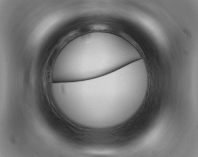 X0000114161151200910081128
