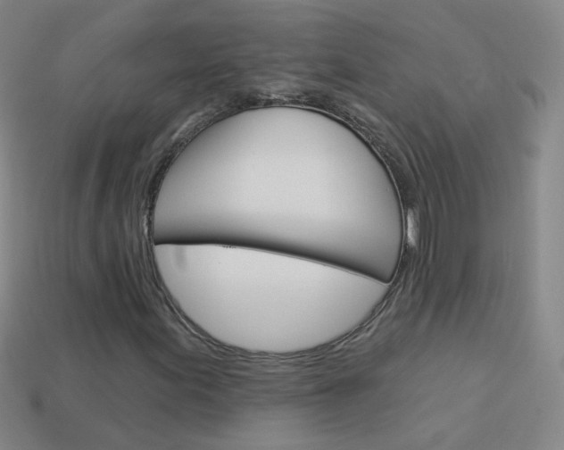 X0000114161155200910081127