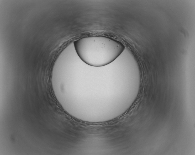 X0000114161157200910081127