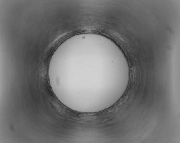 X0000114161158200910081127