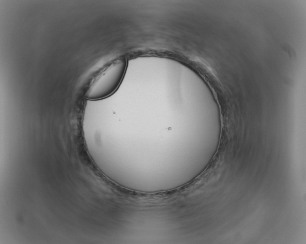 X0000114161159200910081127