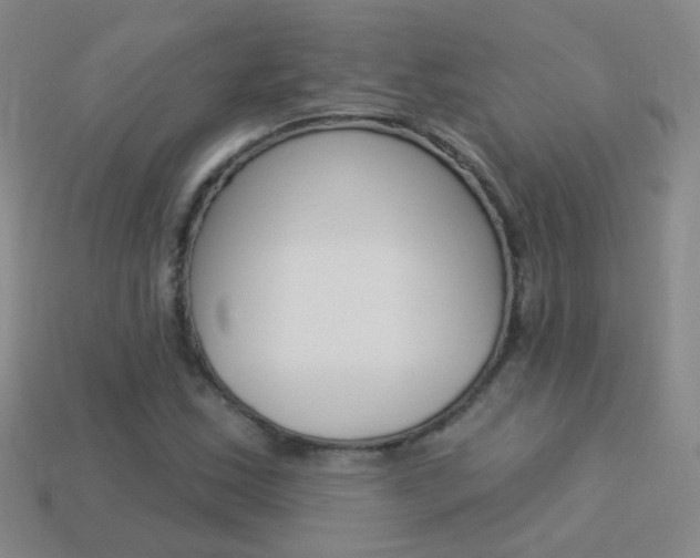 X0000114161163200910081127