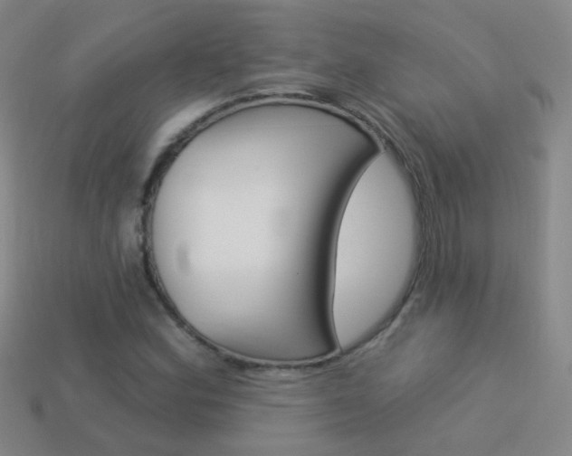 X0000114161164200910081127