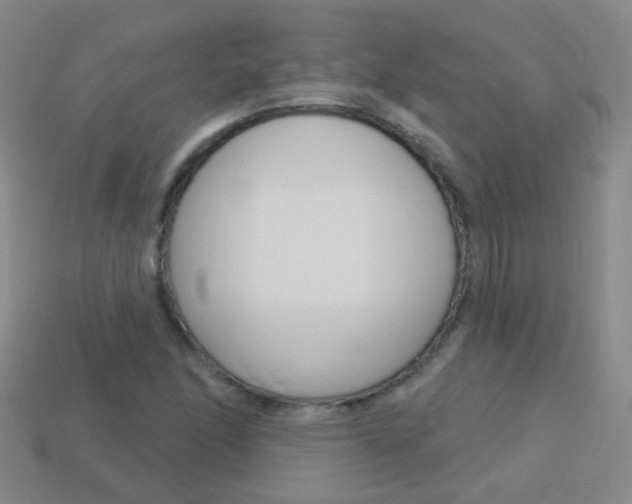 X0000114161166200910081127