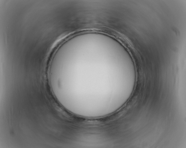 X0000114161168200910081127