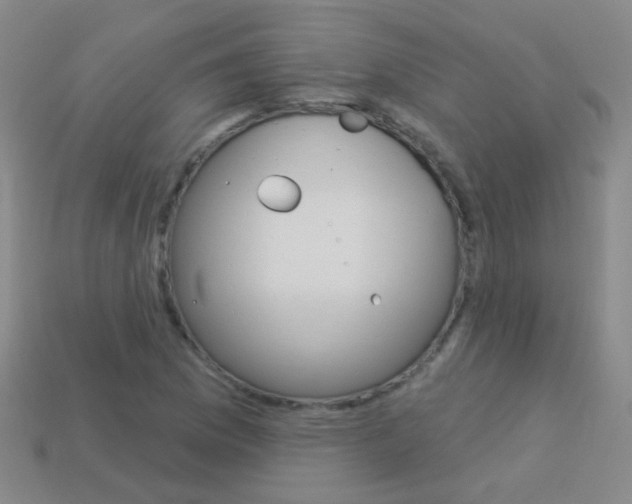 X0000114161169200910081127