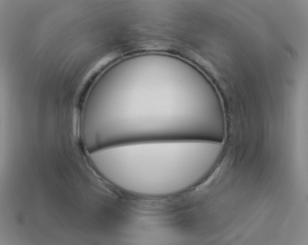 X0000114161171200910081127