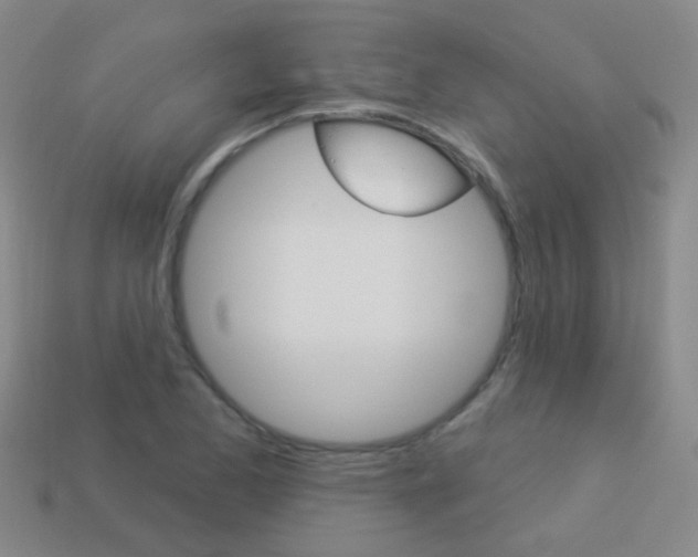 X0000114161173200910081127