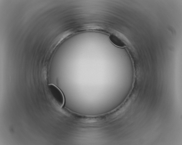 X0000114161177200910081127