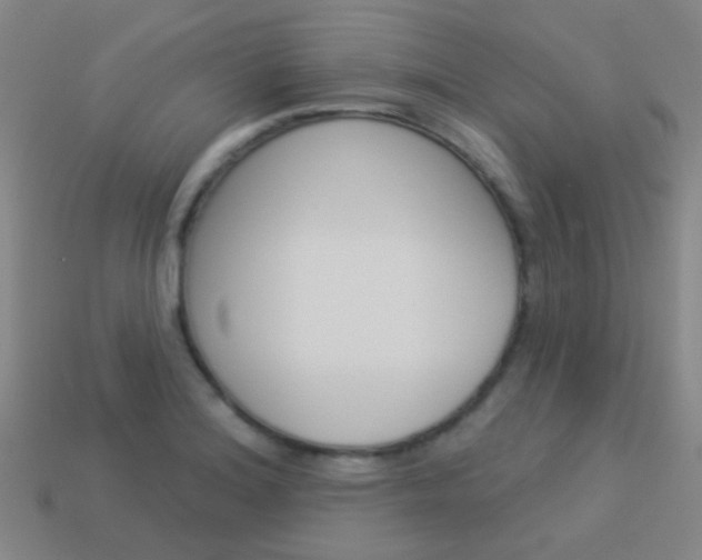 X0000114161180200910081127