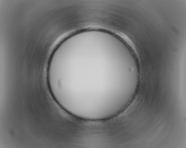 X0000114161183200910081127