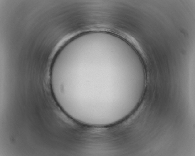 X0000114161184200910081127