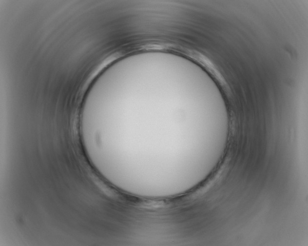 X0000114161186200910081127