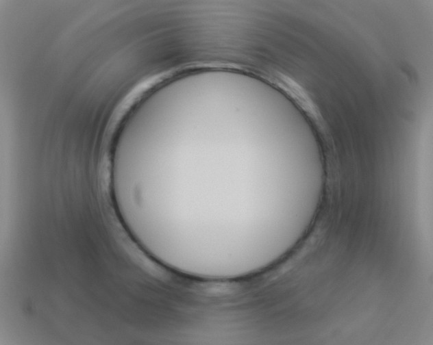 X0000114161188200910081127