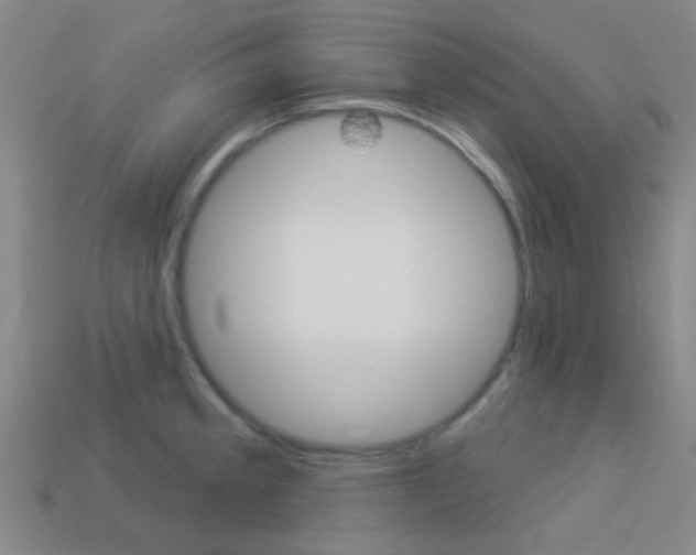 X0000114161189200910081127