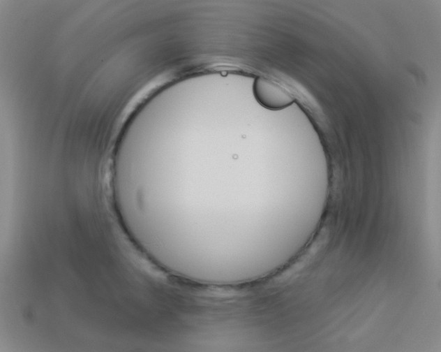 X0000114161190200910081127