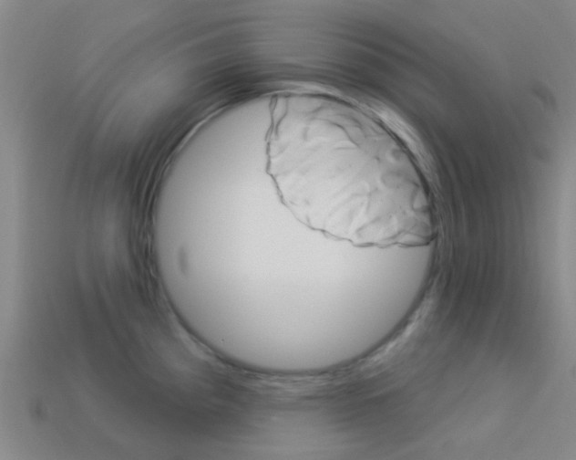 X0000114161193200910081127