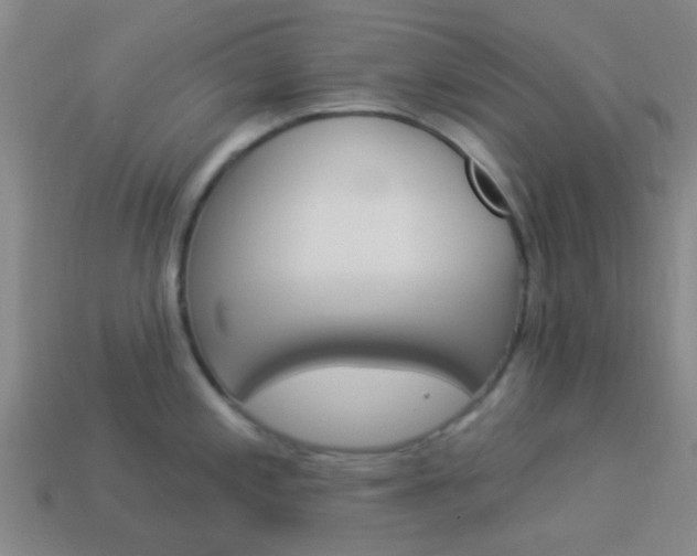 X0000114161197200910081127