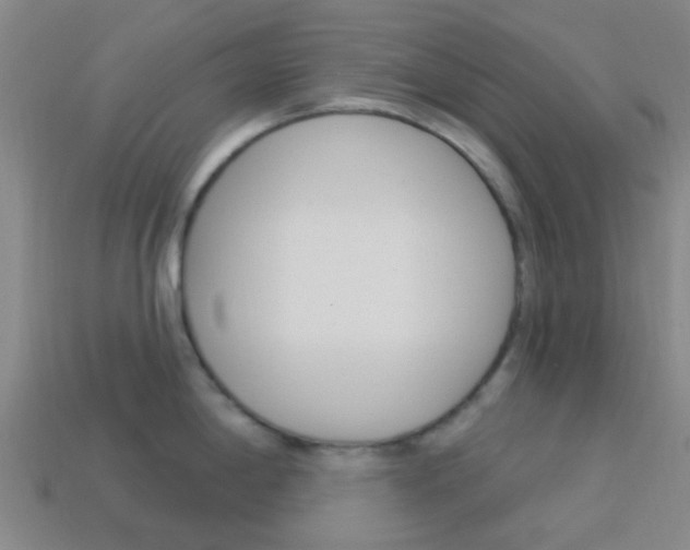X0000114161198200910081127