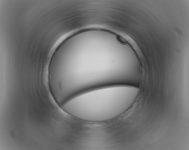 X0000114161199200910081127