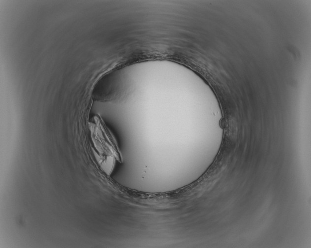 X0000114161201200910081126