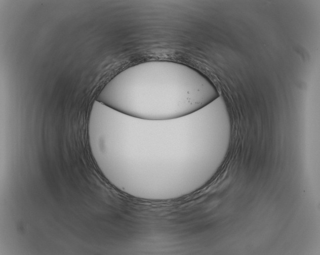 X0000114161202200910081126